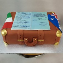 Travel Suitcase Cake (D)